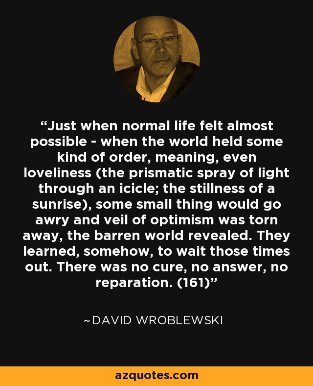 Just when normal life felt almost possible - when the world held some kind of order, meaning, even loveliness (the prismatic spray of light through an icicle; the stillness of a sunrise), some small thing would go awry and veil of optimism was torn away, the barren world revealed. They learned, somehow, to wait those times out. There was no cure, no answer, no reparation. (161) - David Wroblewski