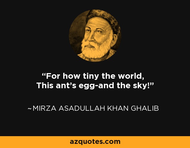 For how tiny the world, This ant's egg-and the sky! - Mirza Asadullah Khan Ghalib