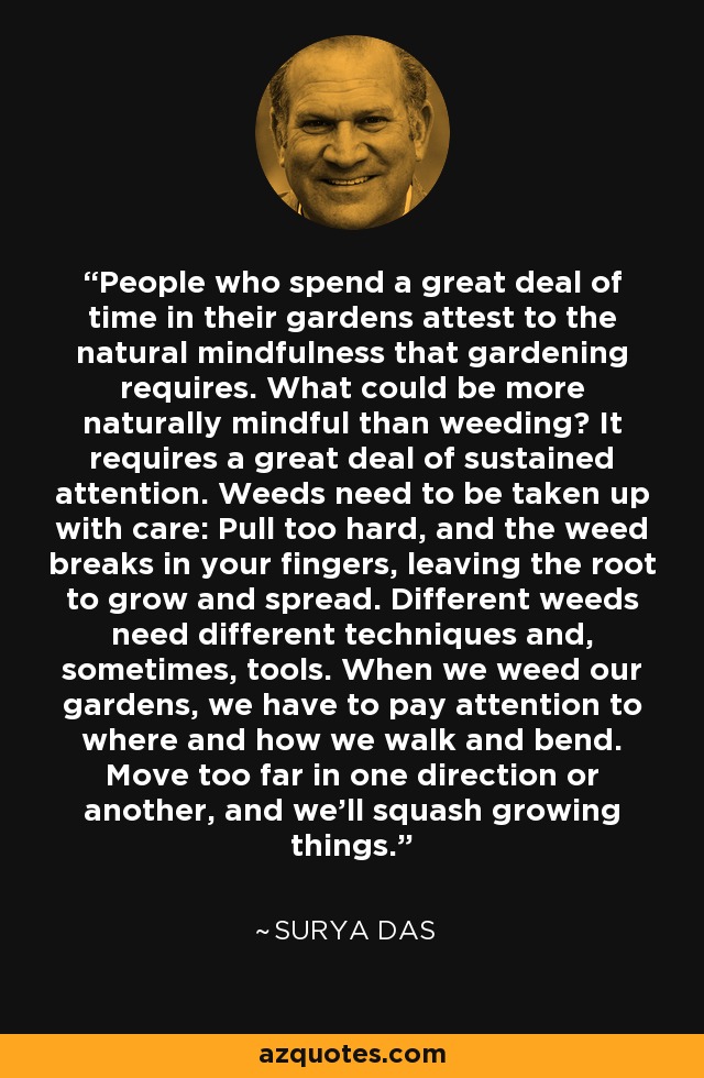 People who spend a great deal of time in their gardens attest to the natural mindfulness that gardening requires. What could be more naturally mindful than weeding? It requires a great deal of sustained attention. Weeds need to be taken up with care: Pull too hard, and the weed breaks in your fingers, leaving the root to grow and spread. Different weeds need different techniques and, sometimes, tools. When we weed our gardens, we have to pay attention to where and how we walk and bend. Move too far in one direction or another, and we'll squash growing things. - Surya Das