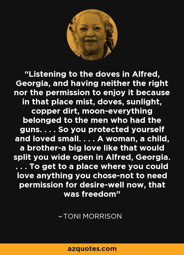 Listening to the doves in Alfred, Georgia, and having neither the right nor the permission to enjoy it because in that place mist, doves, sunlight, copper dirt, moon-everything belonged to the men who had the guns. . . . So you protected yourself and loved small. . . . A woman, a child, a brother-a big love like that would split you wide open in Alfred, Georgia. . . . To get to a place where you could love anything you chose-not to need permission for desire-well now, that was freedom - Toni Morrison