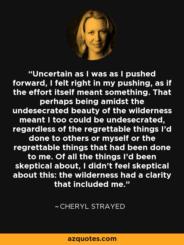 Uncertain as I was as I pushed forward, I felt right in my pushing, as if the effort itself meant something. That perhaps being amidst the undesecrated beauty of the wilderness meant I too could be undesecrated, regardless of the regrettable things I'd done to others or myself or the regrettable things that had been done to me. Of all the things I'd been skeptical about, I didn't feel skeptical about this: the wilderness had a clarity that included me. - Cheryl Strayed