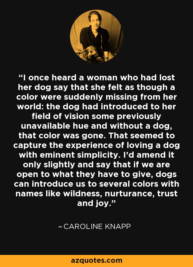 I once heard a woman who had lost her dog say that she felt as though a color were suddenly missing from her world: the dog had introduced to her field of vision some previously unavailable hue and without a dog, that color was gone. That seemed to capture the experience of loving a dog with eminent simplicity. I'd amend it only slightly and say that if we are open to what they have to give, dogs can introduce us to several colors with names like wildness, nurturance, trust and joy. - Caroline Knapp