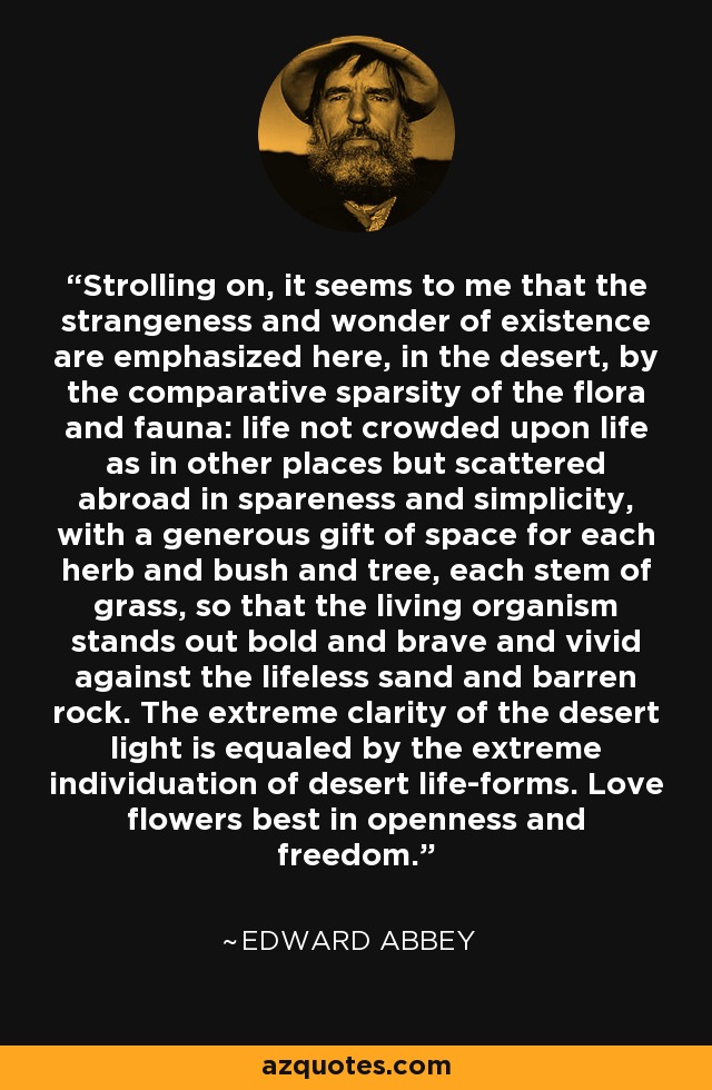 Strolling on, it seems to me that the strangeness and wonder of existence are emphasized here, in the desert, by the comparative sparsity of the flora and fauna: life not crowded upon life as in other places but scattered abroad in spareness and simplicity, with a generous gift of space for each herb and bush and tree, each stem of grass, so that the living organism stands out bold and brave and vivid against the lifeless sand and barren rock. The extreme clarity of the desert light is equaled by the extreme individuation of desert life-forms. Love flowers best in openness and freedom. - Edward Abbey