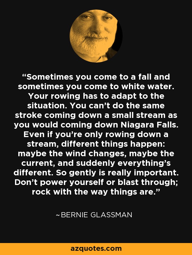 Sometimes you come to a fall and sometimes you come to white water. Your rowing has to adapt to the situation. You can't do the same stroke coming down a small stream as you would coming down Niagara Falls. Even if you're only rowing down a stream, different things happen: maybe the wind changes, maybe the current, and suddenly everything's different. So gently is really important. Don't power yourself or blast through; rock with the way things are. - Bernie Glassman