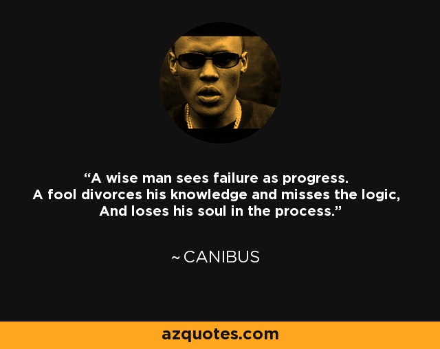 A wise man sees failure as progress. A fool divorces his knowledge and misses the logic, And loses his soul in the process. - Canibus