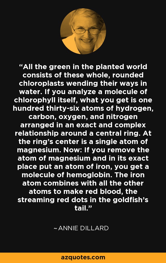 All the green in the planted world consists of these whole, rounded chloroplasts wending their ways in water. If you analyze a molecule of chlorophyll itself, what you get is one hundred thirty-six atoms of hydrogen, carbon, oxygen, and nitrogen arranged in an exact and complex relationship around a central ring. At the ring's center is a single atom of magnesium. Now: If you remove the atom of magnesium and in its exact place put an atom of iron, you get a molecule of hemoglobin. The iron atom combines with all the other atoms to make red blood, the streaming red dots in the goldfish's tail. - Annie Dillard