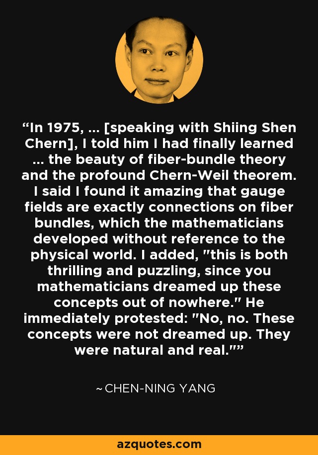 In 1975, ... [speaking with Shiing Shen Chern], I told him I had finally learned ... the beauty of fiber-bundle theory and the profound Chern-Weil theorem. I said I found it amazing that gauge fields are exactly connections on fiber bundles, which the mathematicians developed without reference to the physical world. I added, 