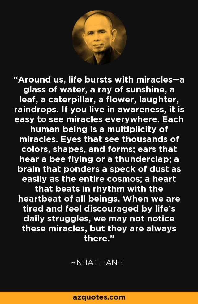 Around us, life bursts with miracles--a glass of water, a ray of sunshine, a leaf, a caterpillar, a flower, laughter, raindrops. If you live in awareness, it is easy to see miracles everywhere. Each human being is a multiplicity of miracles. Eyes that see thousands of colors, shapes, and forms; ears that hear a bee flying or a thunderclap; a brain that ponders a speck of dust as easily as the entire cosmos; a heart that beats in rhythm with the heartbeat of all beings. When we are tired and feel discouraged by life's daily struggles, we may not notice these miracles, but they are always there. - Nhat Hanh