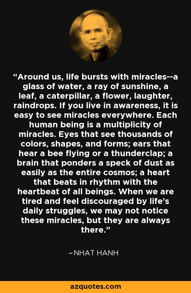 Around us, life bursts with miracles--a glass of water, a ray of sunshine, a leaf, a caterpillar, a flower, laughter, raindrops. If you live in awareness, it is easy to see miracles everywhere. Each human being is a multiplicity of miracles. Eyes that see thousands of colors, shapes, and forms; ears that hear a bee flying or a thunderclap; a brain that ponders a speck of dust as easily as the entire cosmos; a heart that beats in rhythm with the heartbeat of all beings. When we are tired and feel discouraged by life's daily struggles, we may not notice these miracles, but they are always there. - Nhat Hanh