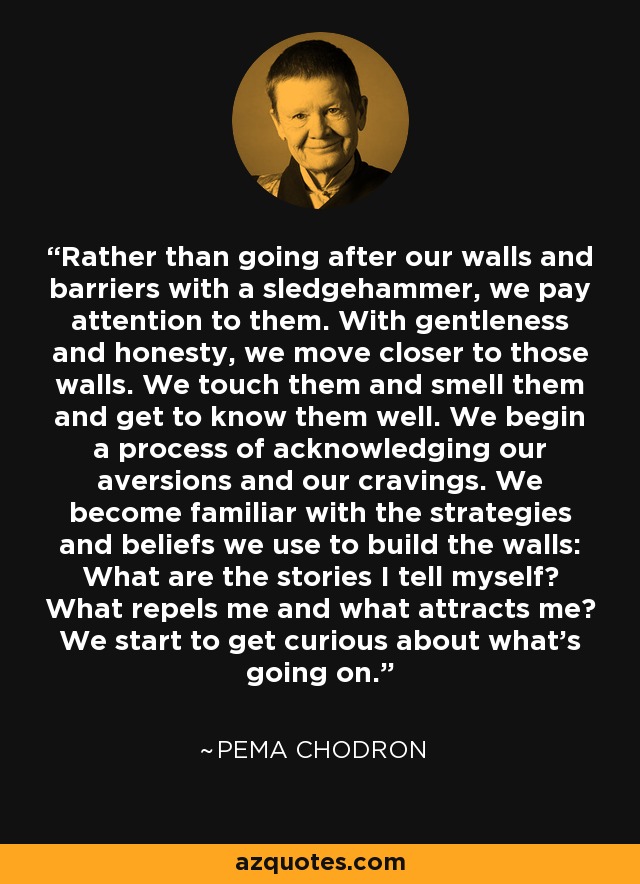 Rather than going after our walls and barriers with a sledgehammer, we pay attention to them. With gentleness and honesty, we move closer to those walls. We touch them and smell them and get to know them well. We begin a process of acknowledging our aversions and our cravings. We become familiar with the strategies and beliefs we use to build the walls: What are the stories I tell myself? What repels me and what attracts me? We start to get curious about what’s going on. - Pema Chodron