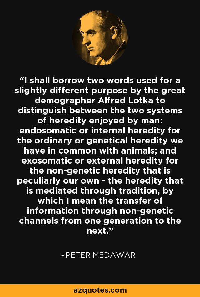 I shall borrow two words used for a slightly different purpose by the great demographer Alfred Lotka to distinguish between the two systems of heredity enjoyed by man: endosomatic or internal heredity for the ordinary or genetical heredity we have in common with animals; and exosomatic or external heredity for the non-genetic heredity that is peculiarly our own - the heredity that is mediated through tradition, by which I mean the transfer of information through non-genetic channels from one generation to the next. - Peter Medawar