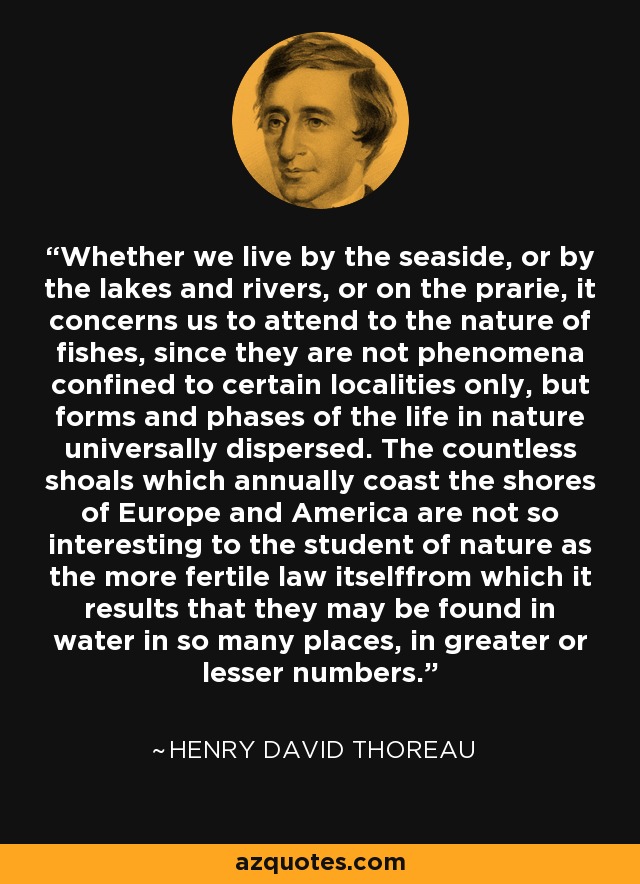 Whether we live by the seaside, or by the lakes and rivers, or on the prarie, it concerns us to attend to the nature of fishes, since they are not phenomena confined to certain localities only, but forms and phases of the life in nature universally dispersed. The countless shoals which annually coast the shores of Europe and America are not so interesting to the student of nature as the more fertile law itselffrom which it results that they may be found in water in so many places, in greater or lesser numbers. - Henry David Thoreau