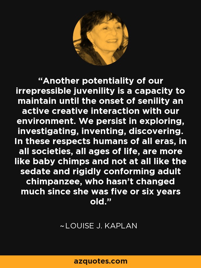 Another potentiality of our irrepressible juvenility is a capacity to maintain until the onset of senility an active creative interaction with our environment. We persist in exploring, investigating, inventing, discovering. In these respects humans of all eras, in all societies, all ages of life, are more like baby chimps and not at all like the sedate and rigidly conforming adult chimpanzee, who hasn't changed much since she was five or six years old. - Louise J. Kaplan