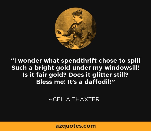 I wonder what spendthrift chose to spill Such a bright gold under my windowsill! Is it fair gold? Does it glitter still? Bless me! It's a daffodil! - Celia Thaxter