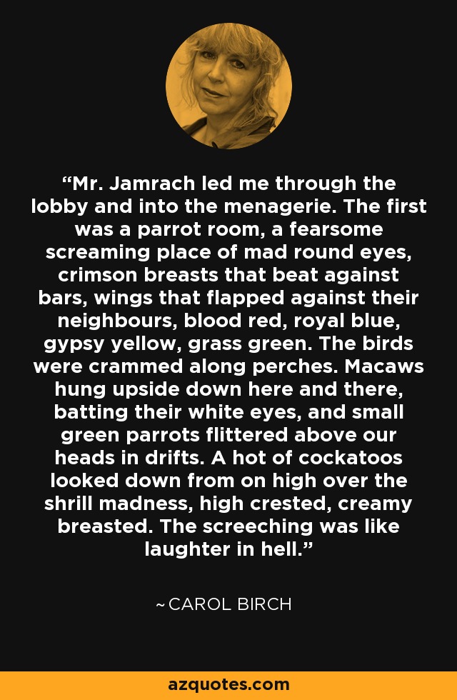 Mr. Jamrach led me through the lobby and into the menagerie. The first was a parrot room, a fearsome screaming place of mad round eyes, crimson breasts that beat against bars, wings that flapped against their neighbours, blood red, royal blue, gypsy yellow, grass green. The birds were crammed along perches. Macaws hung upside down here and there, batting their white eyes, and small green parrots flittered above our heads in drifts. A hot of cockatoos looked down from on high over the shrill madness, high crested, creamy breasted. The screeching was like laughter in hell. - Carol Birch