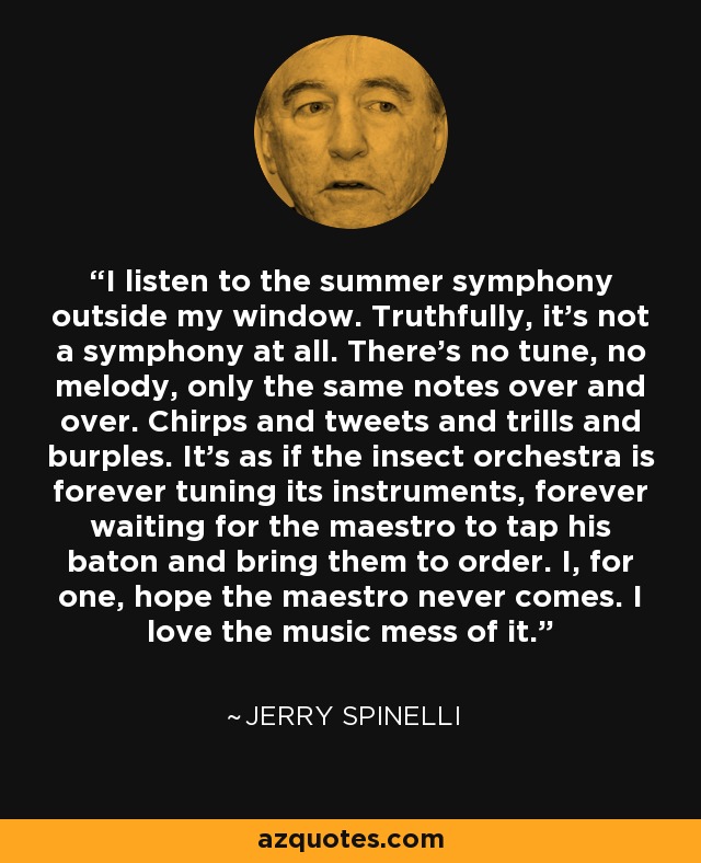 I listen to the summer symphony outside my window. Truthfully, it's not a symphony at all. There's no tune, no melody, only the same notes over and over. Chirps and tweets and trills and burples. It's as if the insect orchestra is forever tuning its instruments, forever waiting for the maestro to tap his baton and bring them to order. I, for one, hope the maestro never comes. I love the music mess of it. - Jerry Spinelli
