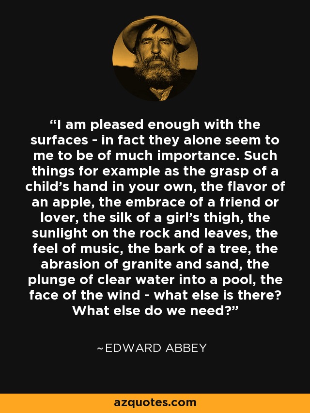 I am pleased enough with the surfaces - in fact they alone seem to me to be of much importance. Such things for example as the grasp of a child's hand in your own, the flavor of an apple, the embrace of a friend or lover, the silk of a girl's thigh, the sunlight on the rock and leaves, the feel of music, the bark of a tree, the abrasion of granite and sand, the plunge of clear water into a pool, the face of the wind - what else is there? What else do we need? - Edward Abbey