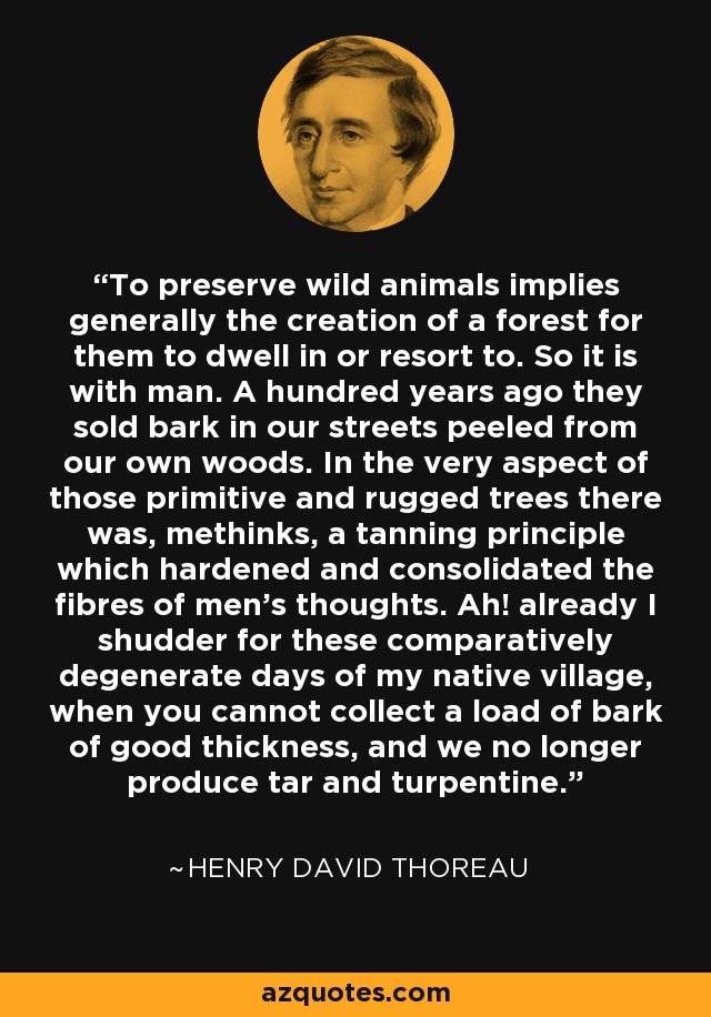To preserve wild animals implies generally the creation of a forest for them to dwell in or resort to. So it is with man. A hundred years ago they sold bark in our streets peeled from our own woods. In the very aspect of those primitive and rugged trees there was, methinks, a tanning principle which hardened and consolidated the fibres of men's thoughts. Ah! already I shudder for these comparatively degenerate days of my native village, when you cannot collect a load of bark of good thickness, and we no longer produce tar and turpentine. - Henry David Thoreau