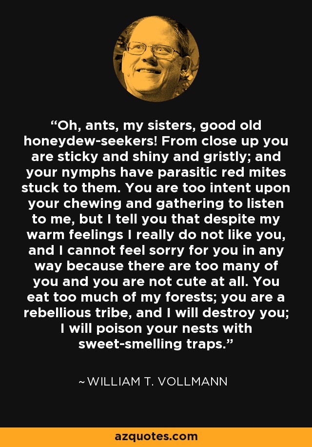 Oh, ants, my sisters, good old honeydew-seekers! From close up you are sticky and shiny and gristly; and your nymphs have parasitic red mites stuck to them. You are too intent upon your chewing and gathering to listen to me, but I tell you that despite my warm feelings I really do not like you, and I cannot feel sorry for you in any way because there are too many of you and you are not cute at all. You eat too much of my forests; you are a rebellious tribe, and I will destroy you; I will poison your nests with sweet-smelling traps. - William T. Vollmann