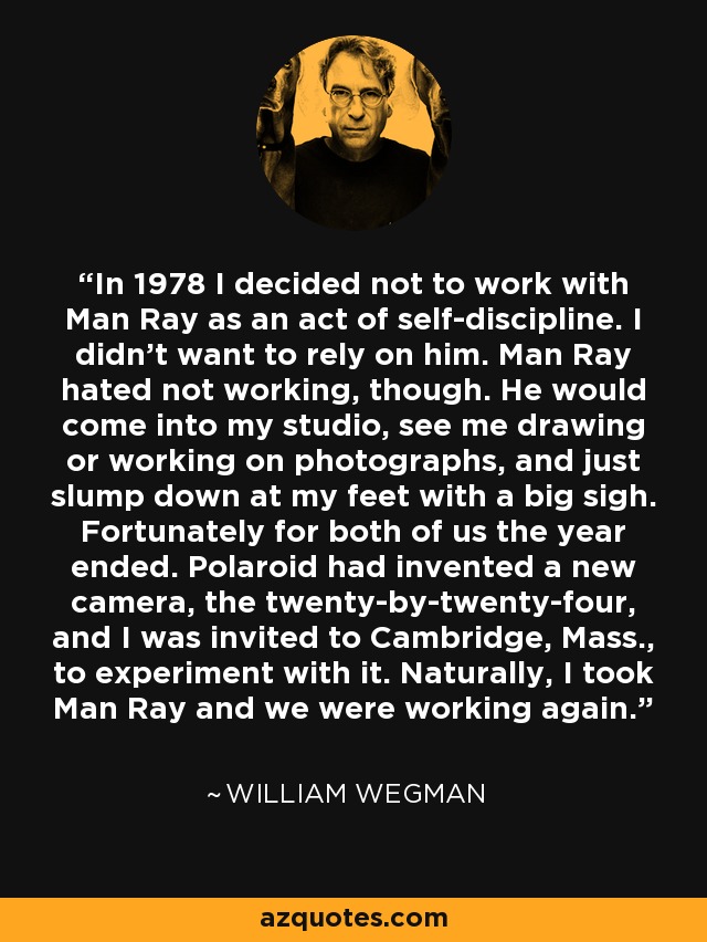 In 1978 I decided not to work with Man Ray as an act of self-discipline. I didn't want to rely on him. Man Ray hated not working, though. He would come into my studio, see me drawing or working on photographs, and just slump down at my feet with a big sigh. Fortunately for both of us the year ended. Polaroid had invented a new camera, the twenty-by-twenty-four, and I was invited to Cambridge, Mass., to experiment with it. Naturally, I took Man Ray and we were working again. - William Wegman