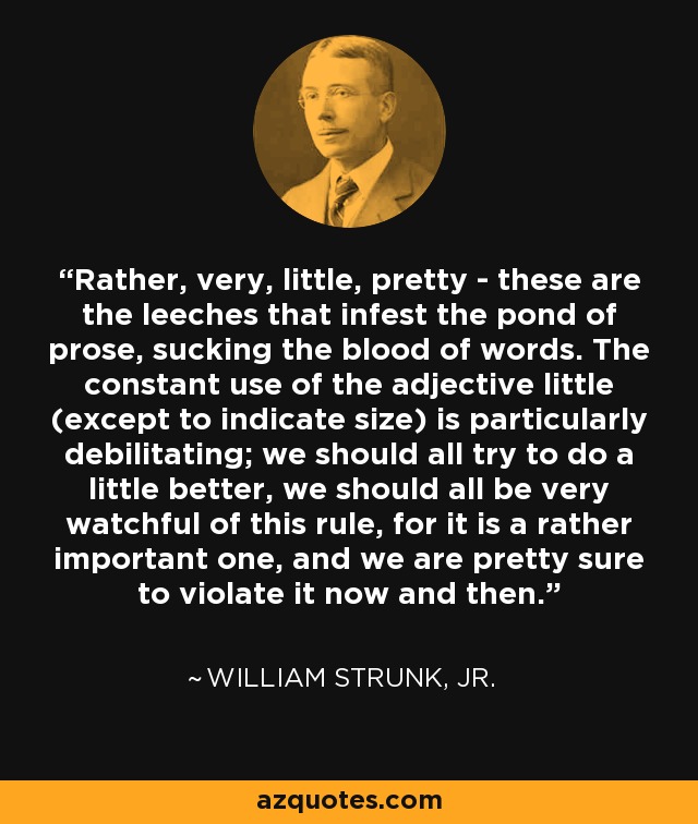 Rather, very, little, pretty - these are the leeches that infest the pond of prose, sucking the blood of words. The constant use of the adjective little (except to indicate size) is particularly debilitating; we should all try to do a little better, we should all be very watchful of this rule, for it is a rather important one, and we are pretty sure to violate it now and then. - William Strunk, Jr.