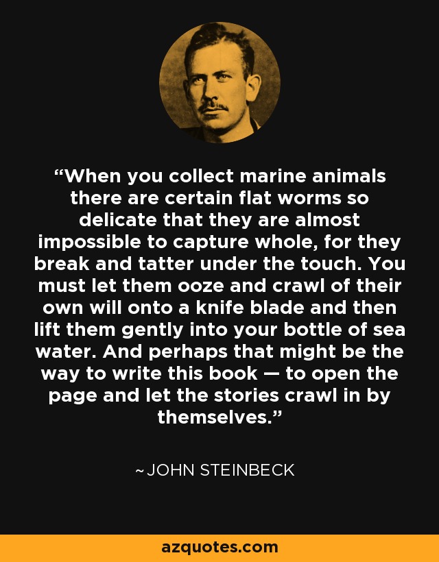 When you collect marine animals there are certain flat worms so delicate that they are almost impossible to capture whole, for they break and tatter under the touch. You must let them ooze and crawl of their own will onto a knife blade and then lift them gently into your bottle of sea water. And perhaps that might be the way to write this book — to open the page and let the stories crawl in by themselves. - John Steinbeck