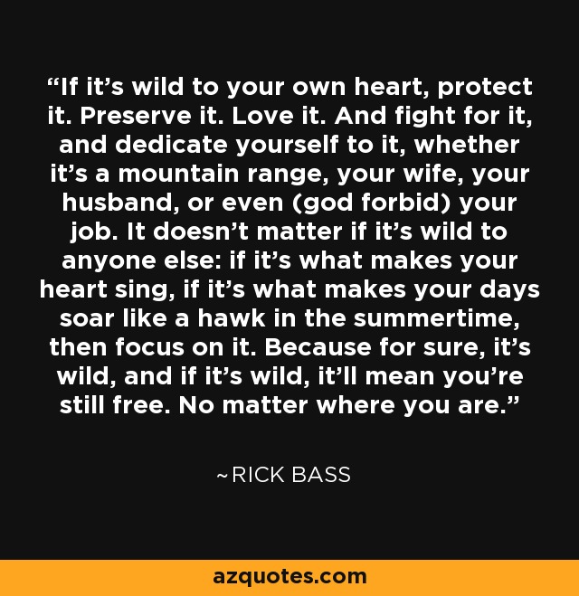 If it's wild to your own heart, protect it. Preserve it. Love it. And fight for it, and dedicate yourself to it, whether it's a mountain range, your wife, your husband, or even (god forbid) your job. It doesn't matter if it's wild to anyone else: if it's what makes your heart sing, if it's what makes your days soar like a hawk in the summertime, then focus on it. Because for sure, it's wild, and if it's wild, it'll mean you're still free. No matter where you are. - Rick Bass