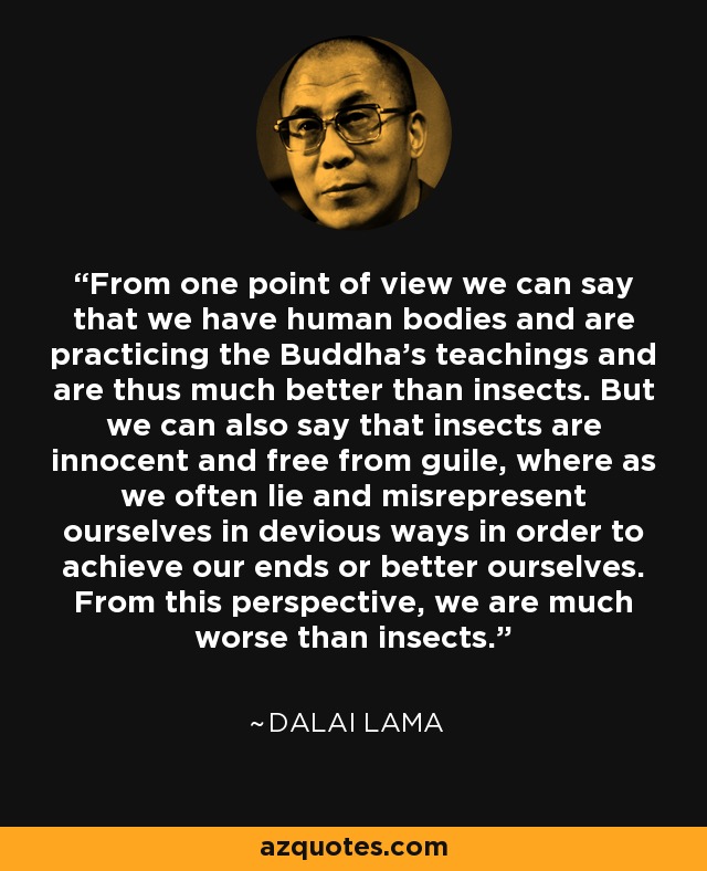 From one point of view we can say that we have human bodies and are practicing the Buddha's teachings and are thus much better than insects. But we can also say that insects are innocent and free from guile, where as we often lie and misrepresent ourselves in devious ways in order to achieve our ends or better ourselves. From this perspective, we are much worse than insects. - Dalai Lama