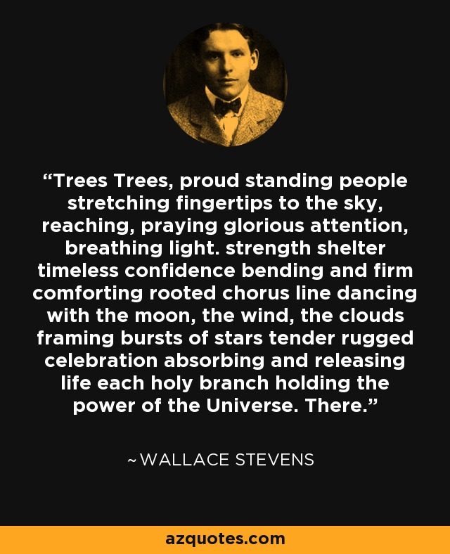 Trees Trees, proud standing people stretching fingertips to the sky, reaching, praying glorious attention, breathing light. strength shelter timeless confidence bending and firm comforting rooted chorus line dancing with the moon, the wind, the clouds framing bursts of stars tender rugged celebration absorbing and releasing life each holy branch holding the power of the Universe. There. - Wallace Stevens