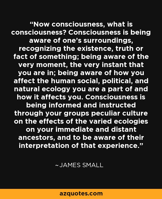 Now consciousness, what is consciousness? Consciousness is being aware of one's surroundings, recognizing the existence, truth or fact of something; being aware of the very moment, the very instant that you are in; being aware of how you affect the human social, political, and natural ecology you are a part of and how it affects you. Consciousness is being informed and instructed through your groups peculiar culture on the effects of the varied ecologies on your immediate and distant ancestors, and to be aware of their interpretation of that experience. - James Small