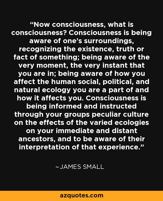 Now consciousness, what is consciousness? Consciousness is being aware of one's surroundings, recognizing the existence, truth or fact of something; being aware of the very moment, the very instant that you are in; being aware of how you affect the human social, political, and natural ecology you are a part of and how it affects you. Consciousness is being informed and instructed through your groups peculiar culture on the effects of the varied ecologies on your immediate and distant ancestors, and to be aware of their interpretation of that experience. - James Small