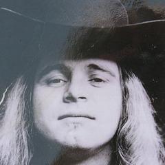 TOP 6 QUOTES BY RONNIE VAN ZANT | A-Z Quotes