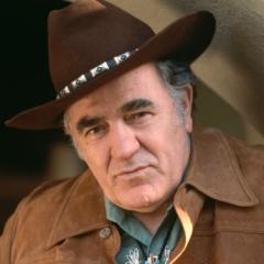 Louis L'Amour Quote: “A television picture or a movie might be