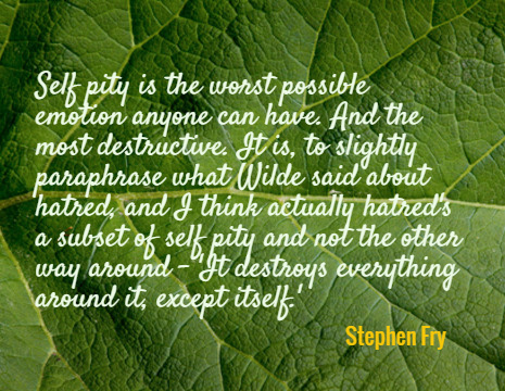 Self pity is the worst possible emotion anyone can have. And the most destructive. It is, to slightly paraphrase what Wilde said about hatred, and I think actually hatred's a subset of self pity and not the other way around - 'It destroys everything around it, except itself.' - Stephen Fry