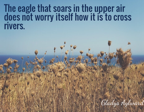 The eagle that soars in the upper air does not worry itself how it is to cross rivers. - Gladys Aylward