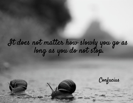 It does not matter how slowly you go as long as you do not stop. - Confucius