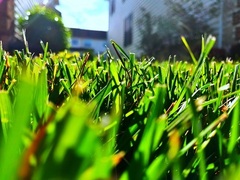 Ava K. Dupree Quotes | A-Z Quotes