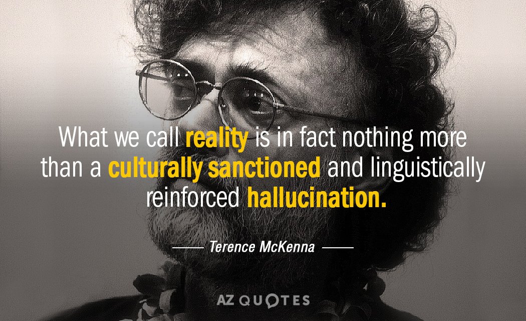Terence McKenna quote: What we call reality is in fact nothing more than a culturally sanctioned...