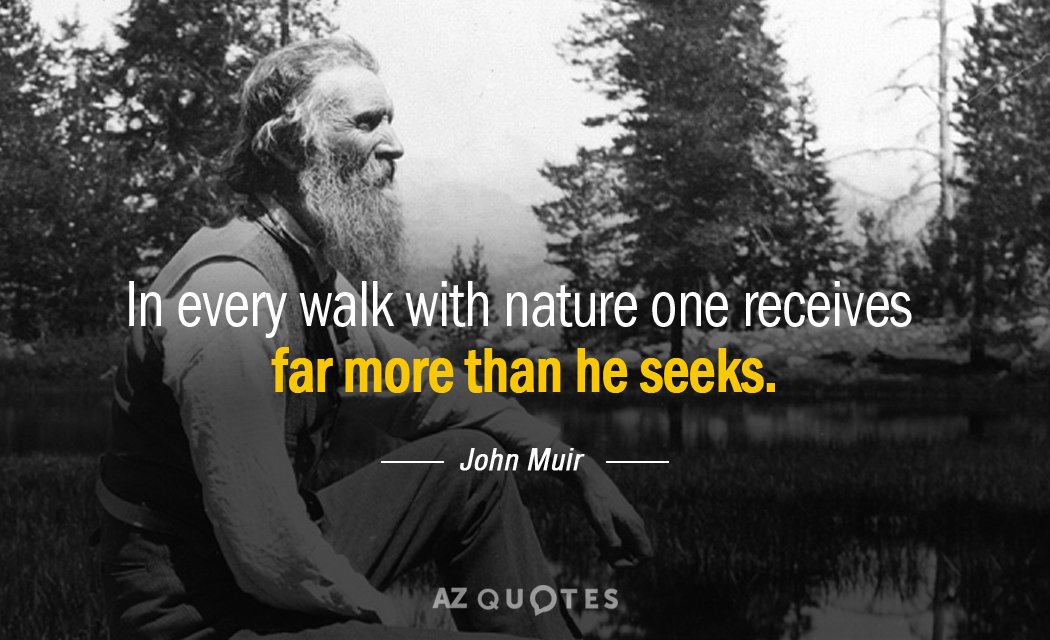 TOP 25 YELLOWSTONE QUOTES A Z Quotes