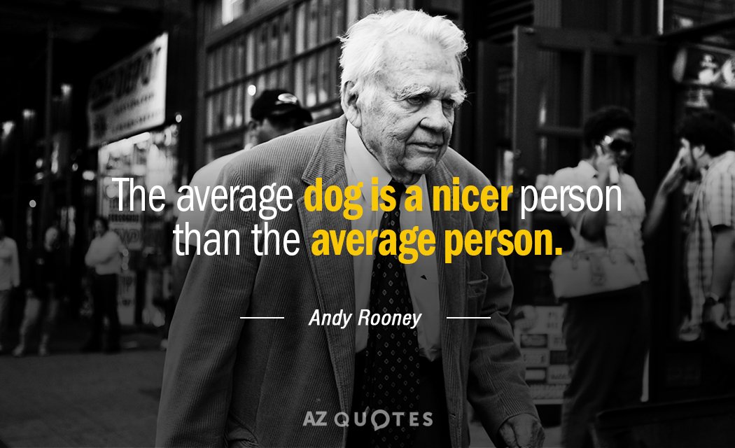 Andy Rooney quote: The average dog is a nicer person than the average person.