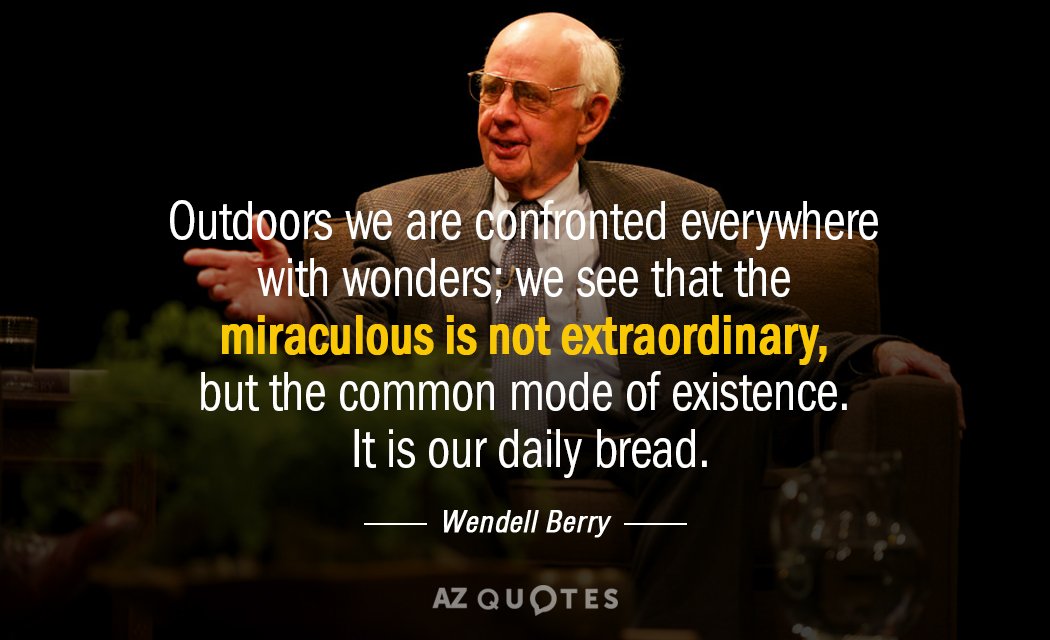Wendell Berry quote: Outdoors we are confronted everywhere with wonders; we see that the miraculous is...